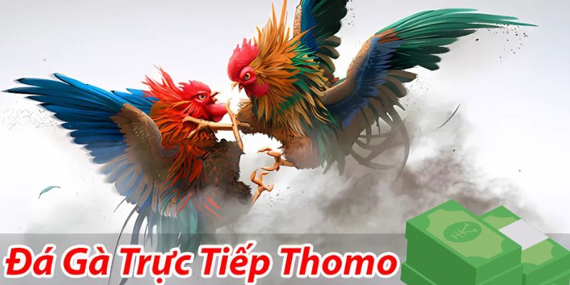 Tham gia các trận đấu hấp dẫn ngay trên điện thoại